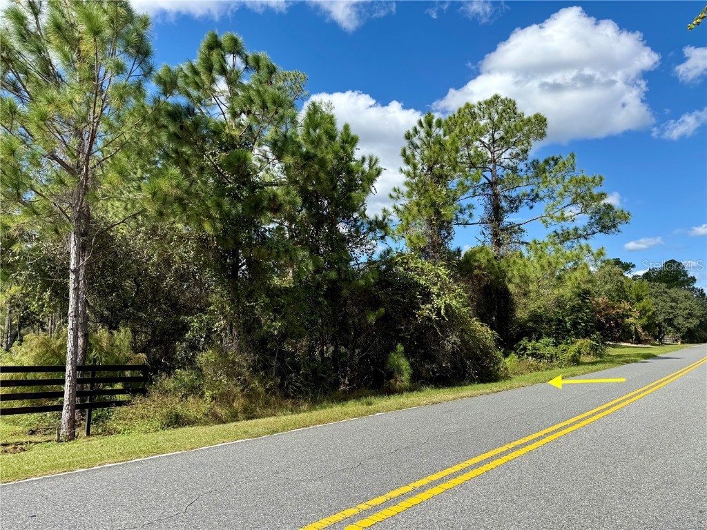 LOT 11 Royal Trails Road Eustis FL 32736 G5103697 image5