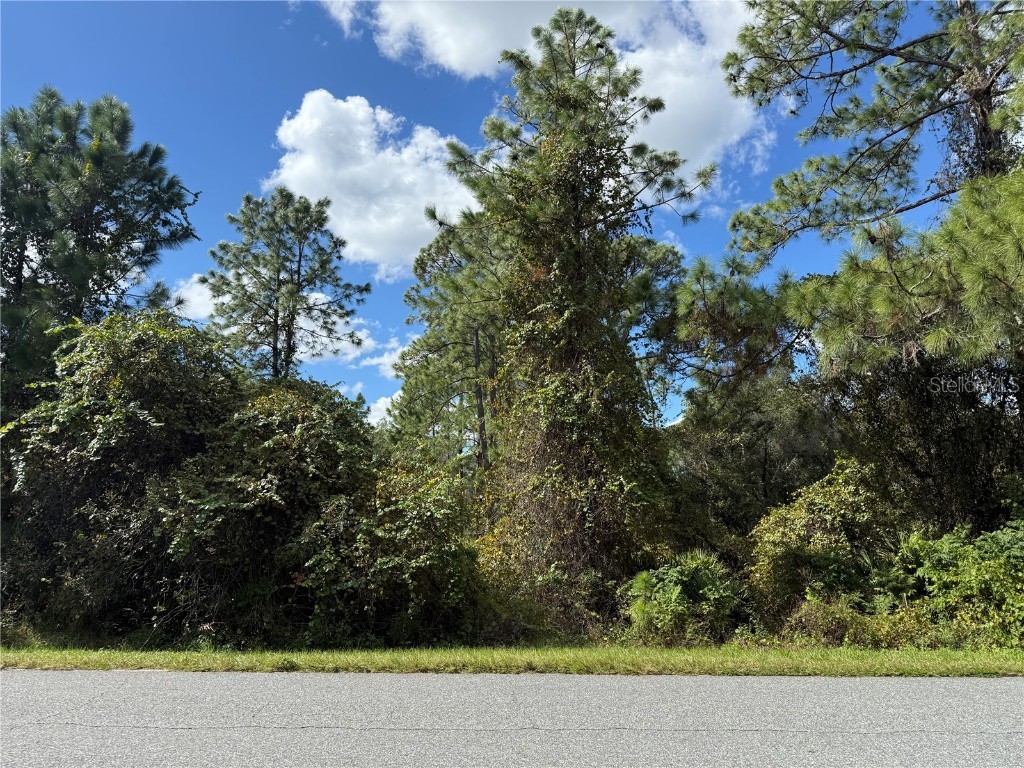 LOT 11 Royal Trails Road Eustis FL 32736 G5103697 image6