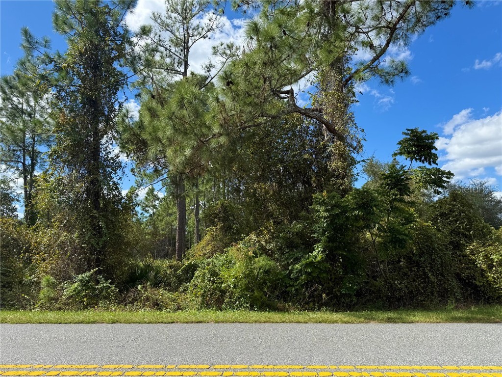 LOT 11 Royal Trails Road Eustis FL 32736 G5103697 image8