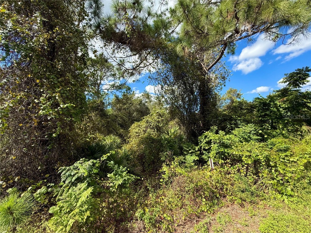 LOT 11 Royal Trails Road Eustis FL 32736 G5103697 image9