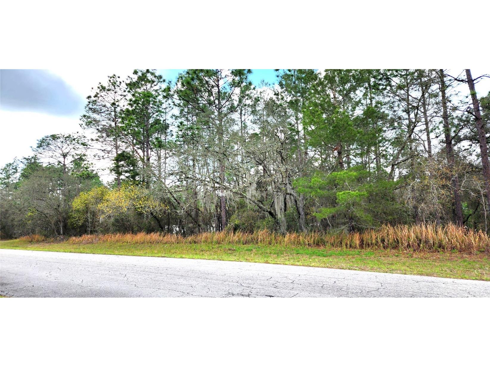 LOT 11 SW 152nd Street Ocala FL 34473 OM674001 image1