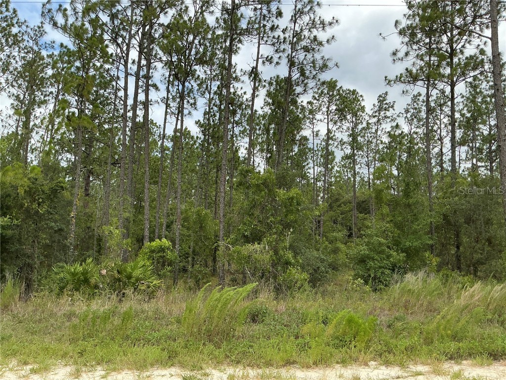 LOT 11 SW 73rd Street Dunnellon FL 34432 OM682835 image1
