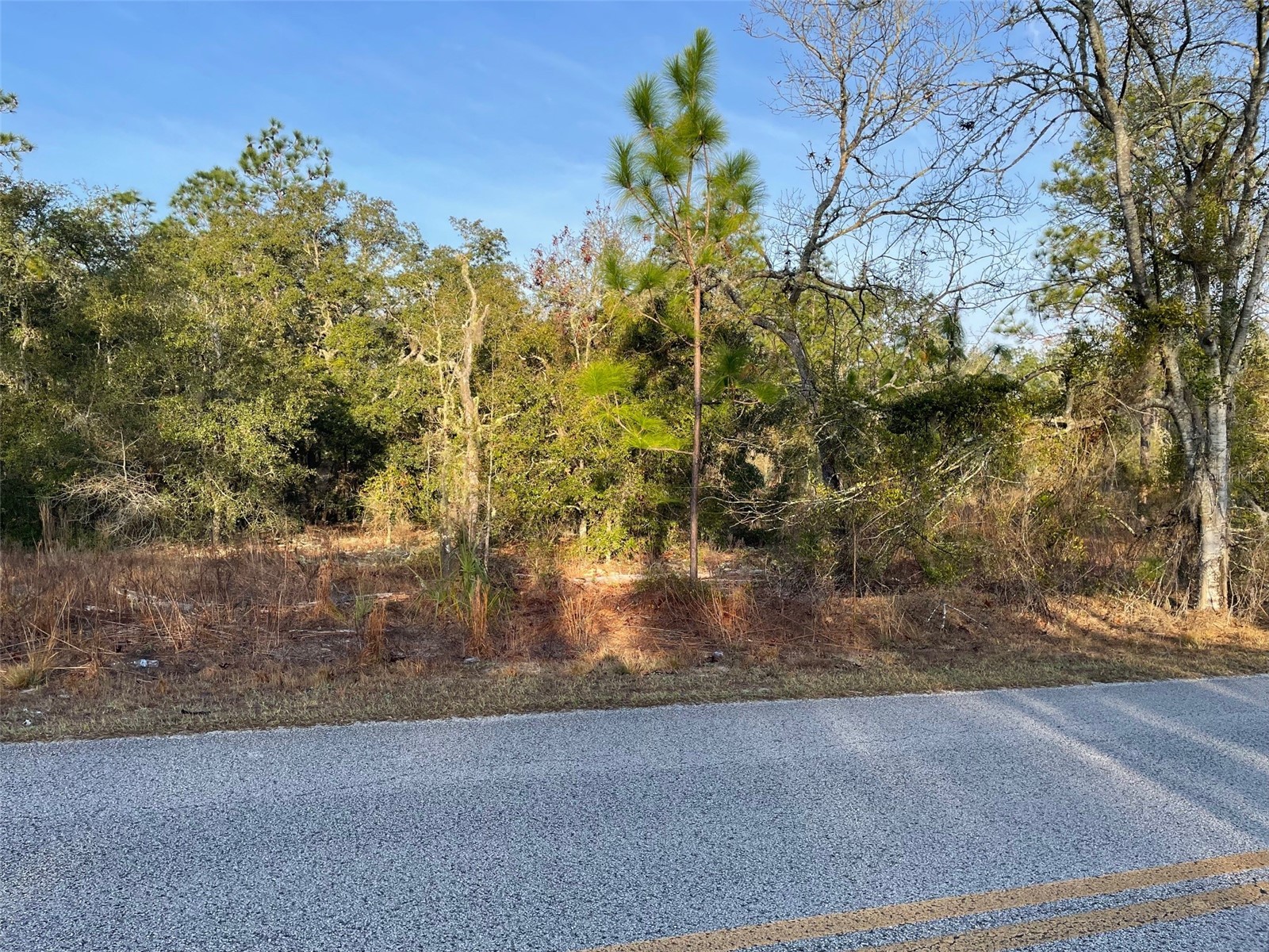 LOT 11 SW Half Moon Drive Dunnellon FL 34431 OM717458 image1