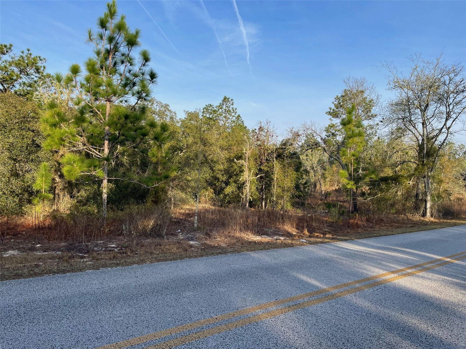 LOT 11 SW Half Moon Drive Dunnellon FL 34431 OM717458 image2