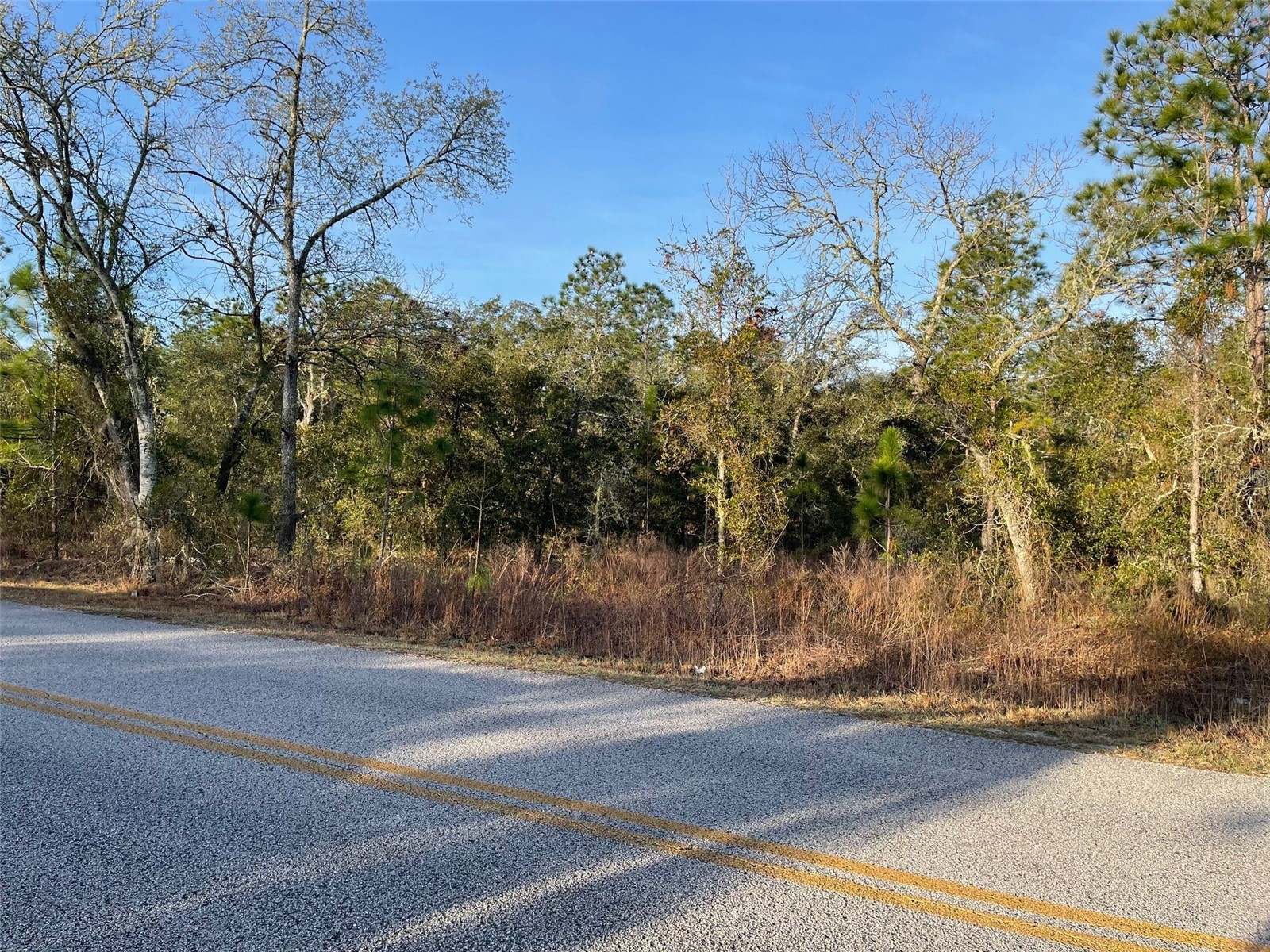 LOT 11 SW Half Moon Drive Dunnellon FL 34431 OM717458 image3