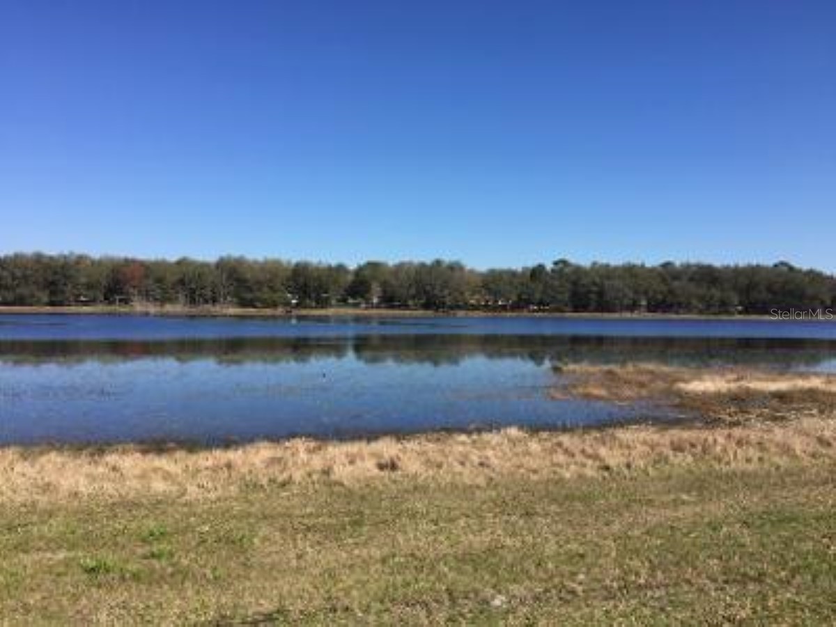 LOT 11 SW Half Moon Drive Dunnellon FL 34431 OM717458 image5
