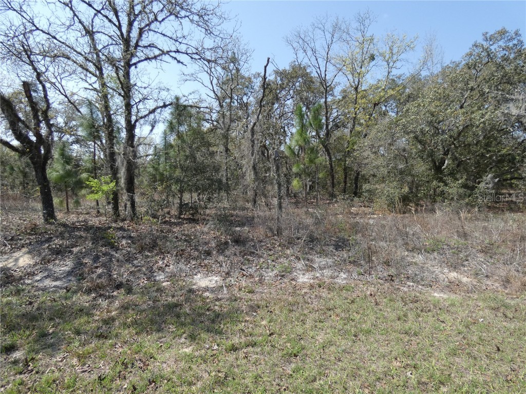 LOT 11 SW Paradise Heights Dunnellon Fl 34431 Dunnellon FL 34431 OM654356 image1
