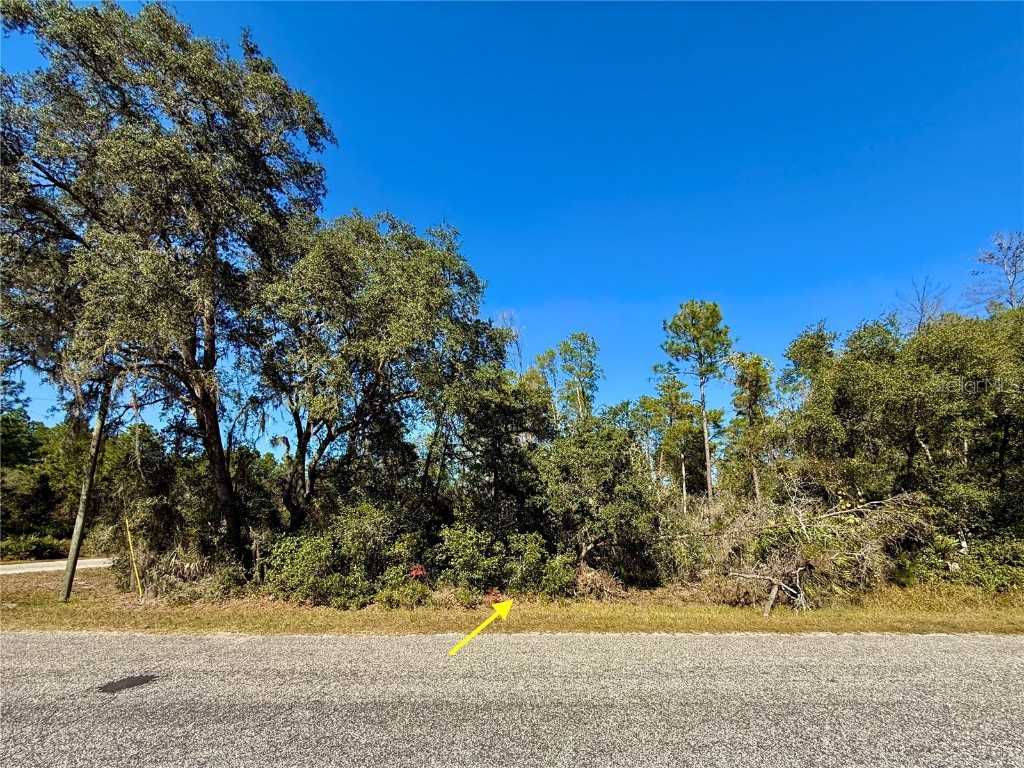 LOT 11 Tulip Avenue Eustis FL 32736 G5104712 image1