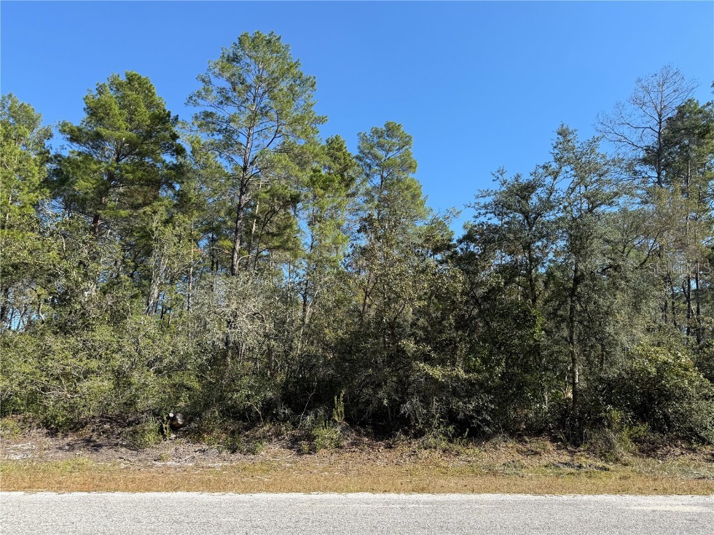 LOT 11 Tulip Avenue Eustis FL 32736 G5104712 image10