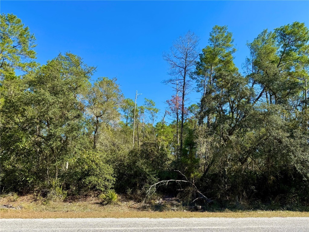 LOT 11 Tulip Avenue Eustis FL 32736 G5104712 image11