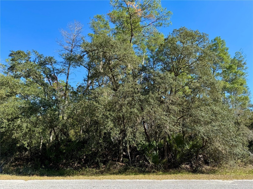LOT 11 Tulip Avenue Eustis FL 32736 G5104712 image12