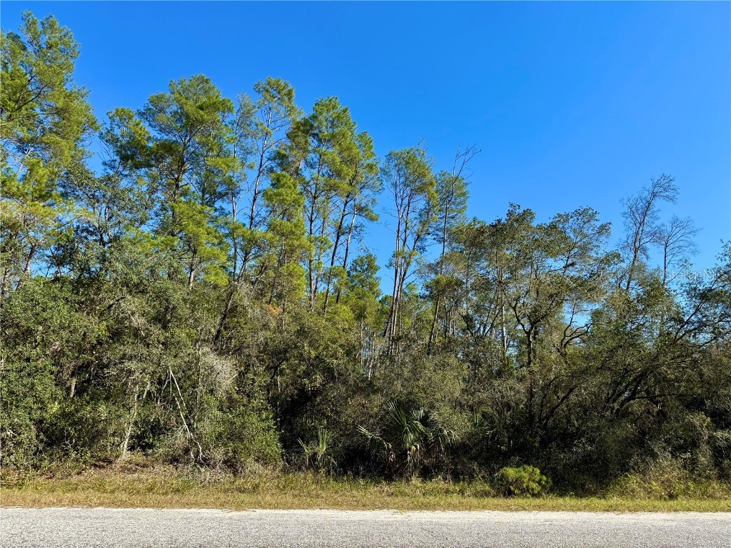 LOT 11 Tulip Avenue Eustis FL 32736 G5104712 image13