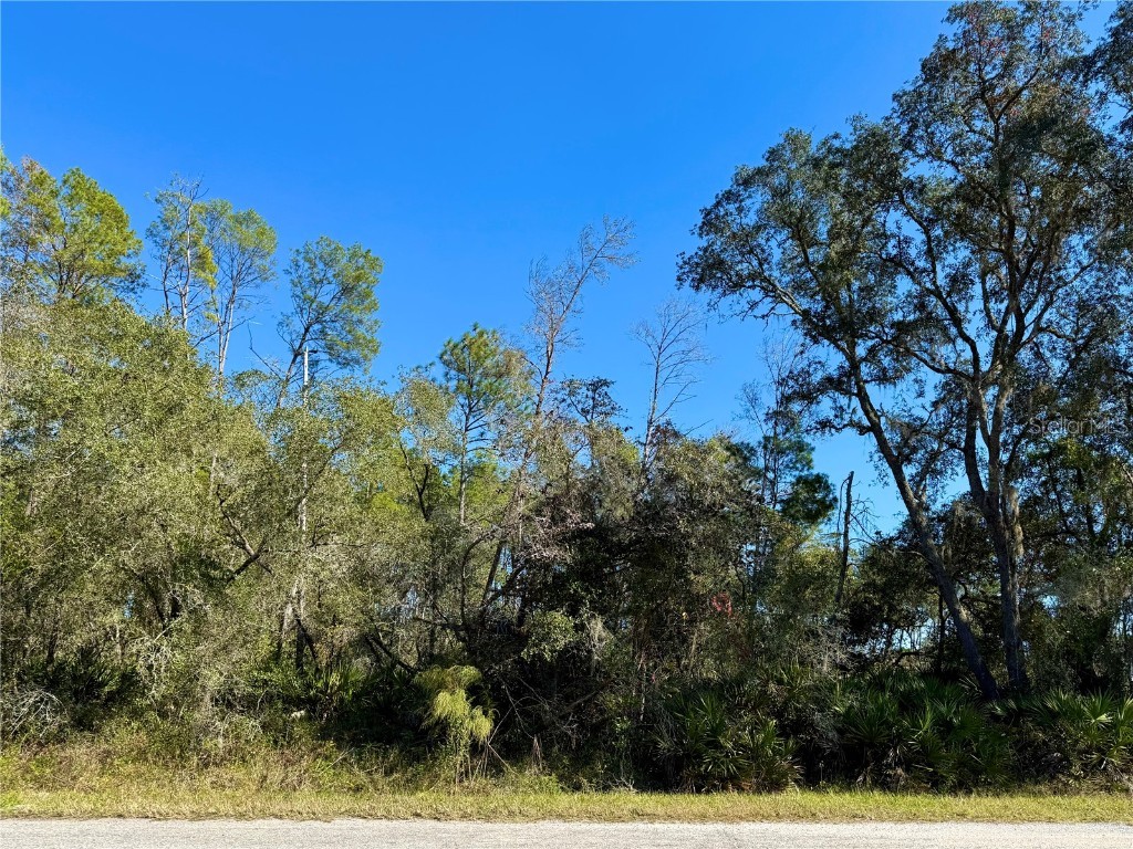 LOT 11 Tulip Avenue Eustis FL 32736 G5104712 image14