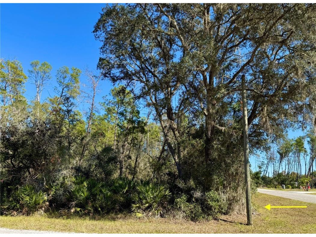 LOT 11 Tulip Avenue Eustis FL 32736 G5104712 image15