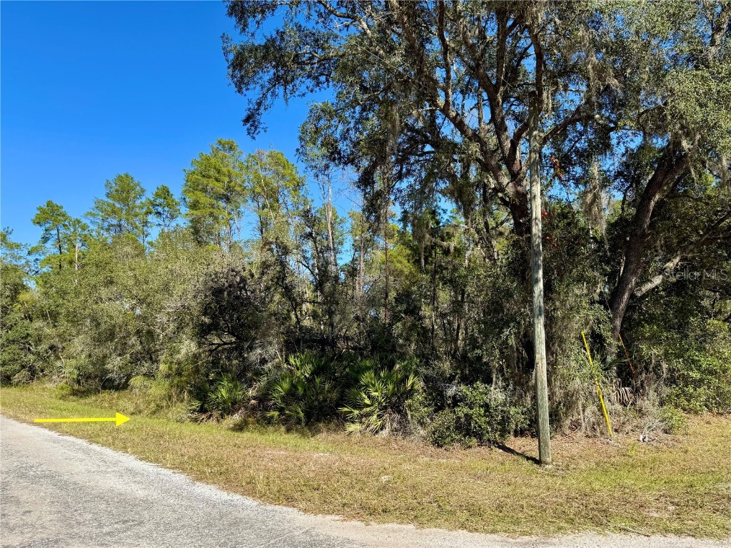 LOT 11 Tulip Avenue Eustis FL 32736 G5104712 image16