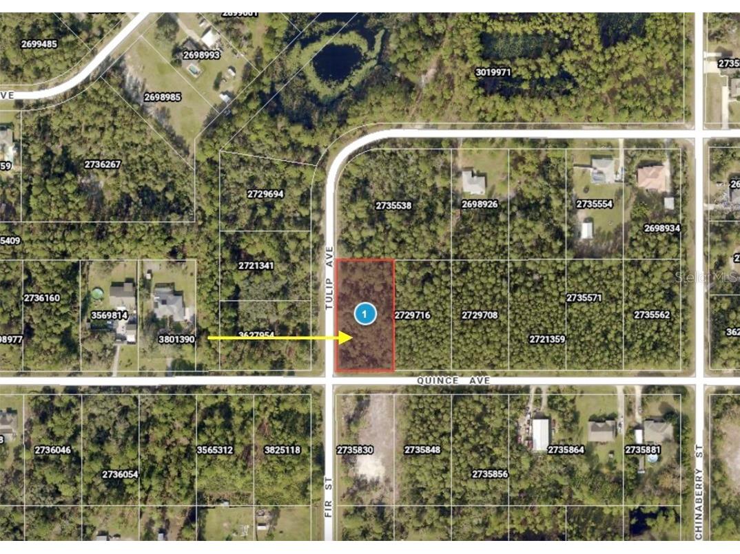 LOT 11 Tulip Avenue Eustis FL 32736 G5104712 image17