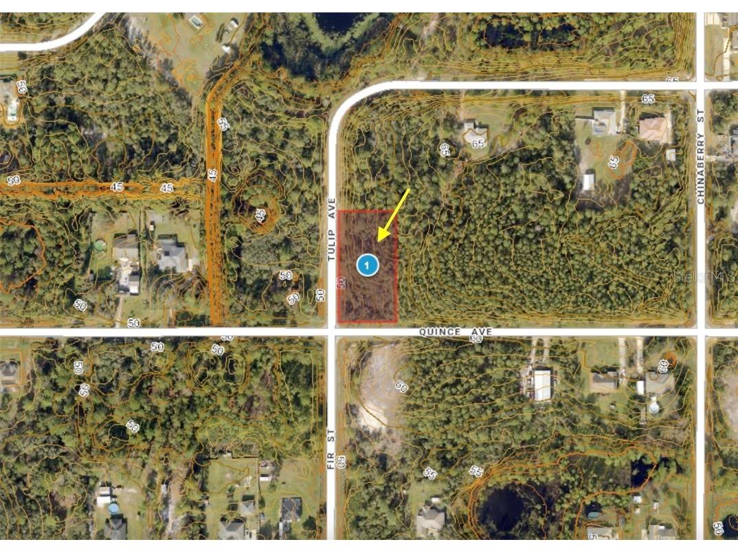 LOT 11 Tulip Avenue Eustis FL 32736 G5104712 image18