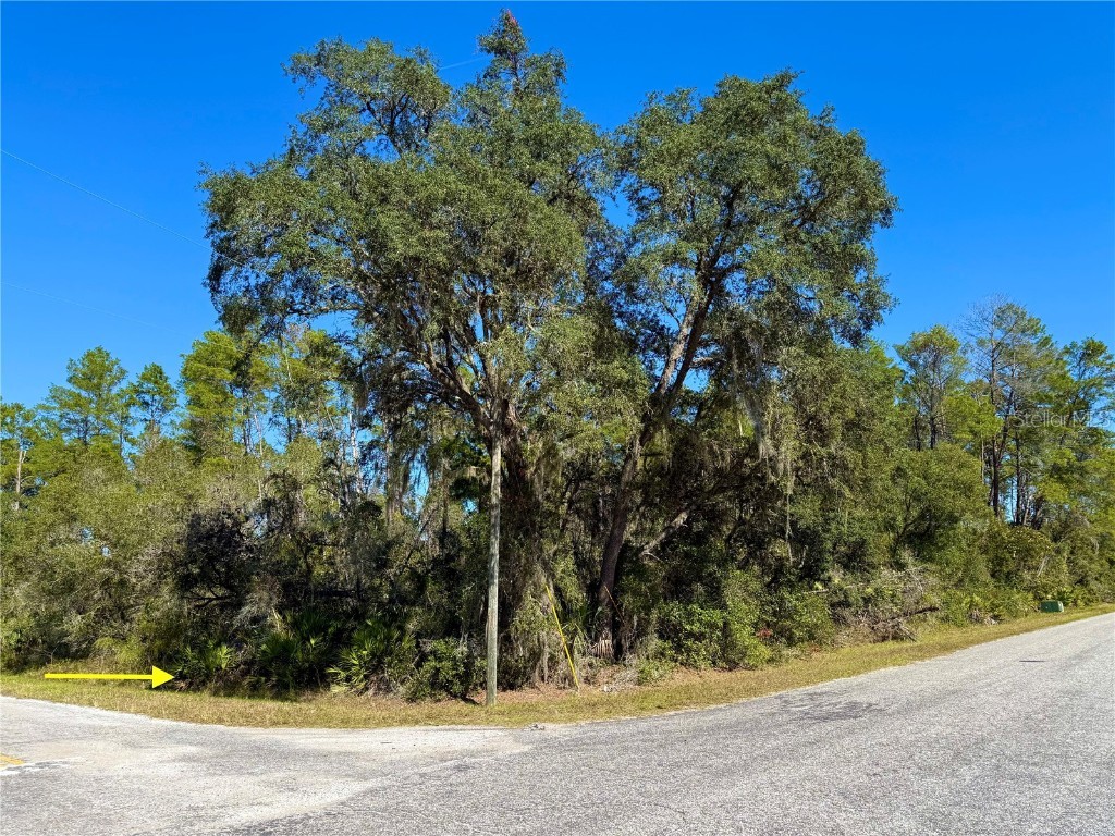 LOT 11 Tulip Avenue Eustis FL 32736 G5104712 image2
