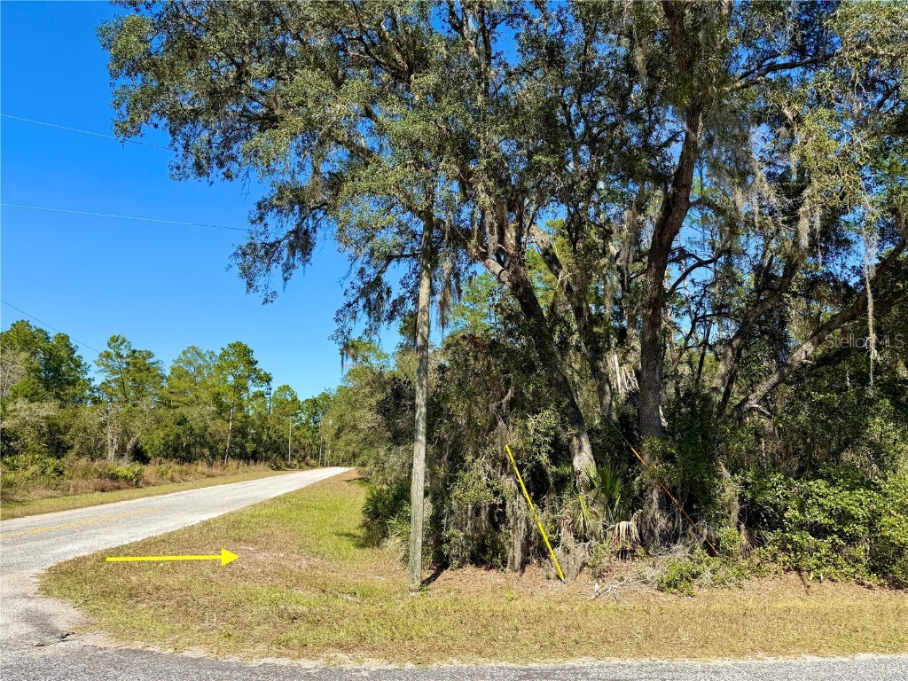 LOT 11 Tulip Avenue Eustis FL 32736 G5104712 image3