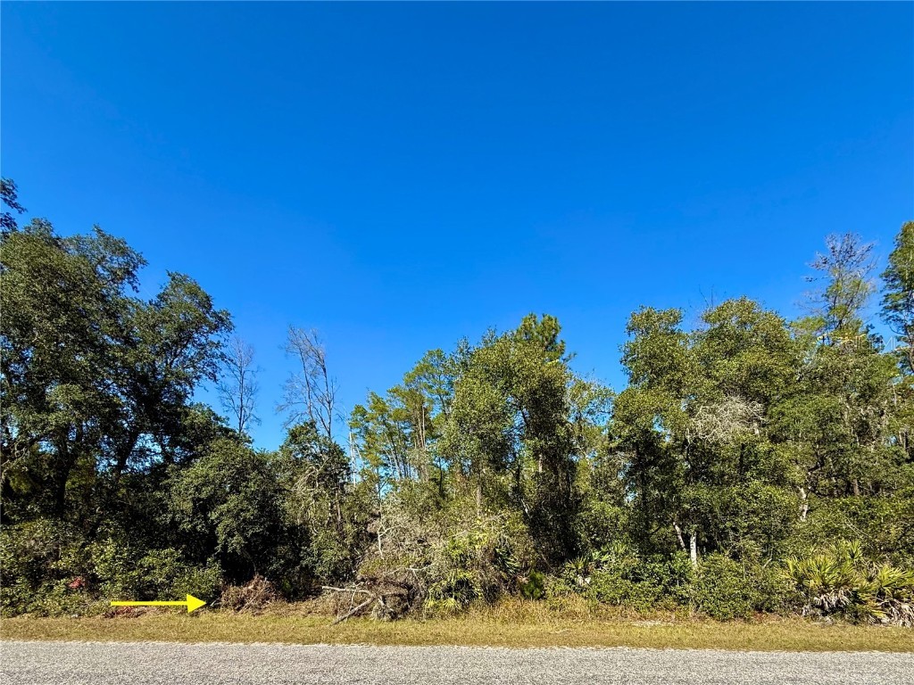 LOT 11 Tulip Avenue Eustis FL 32736 G5104712 image4