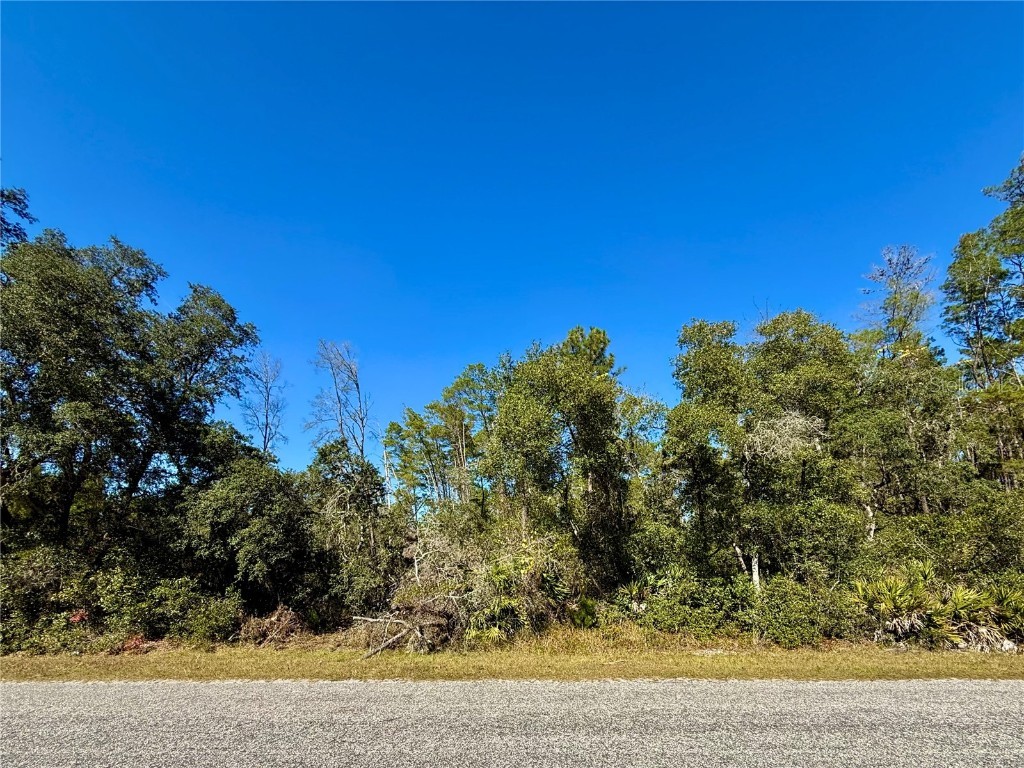 LOT 11 Tulip Avenue Eustis FL 32736 G5104712 image5