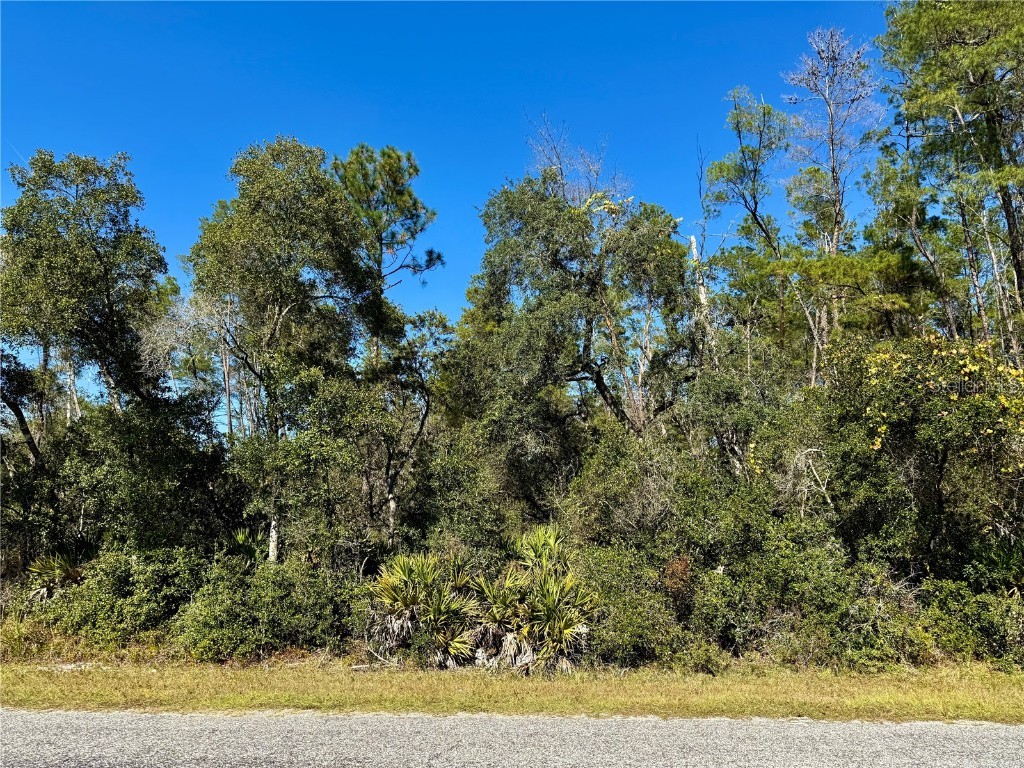 LOT 11 Tulip Avenue Eustis FL 32736 G5104712 image6