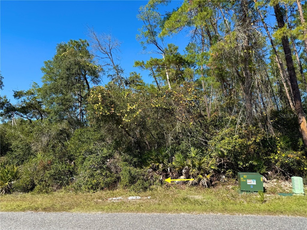 LOT 11 Tulip Avenue Eustis FL 32736 G5104712 image7