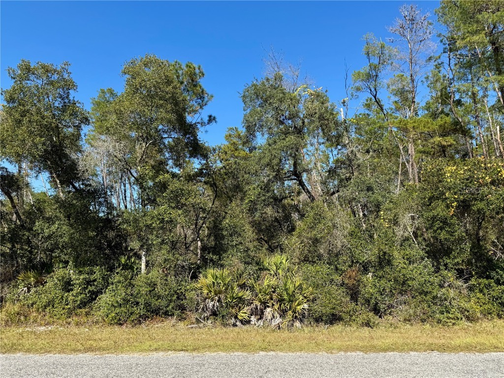 LOT 11 Tulip Avenue Eustis FL 32736 G5104712 image8