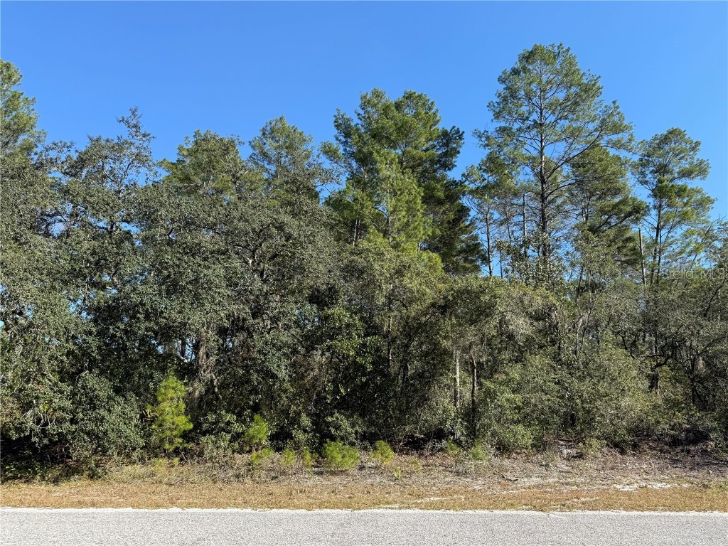 LOT 11 Tulip Avenue Eustis FL 32736 G5104712 image9