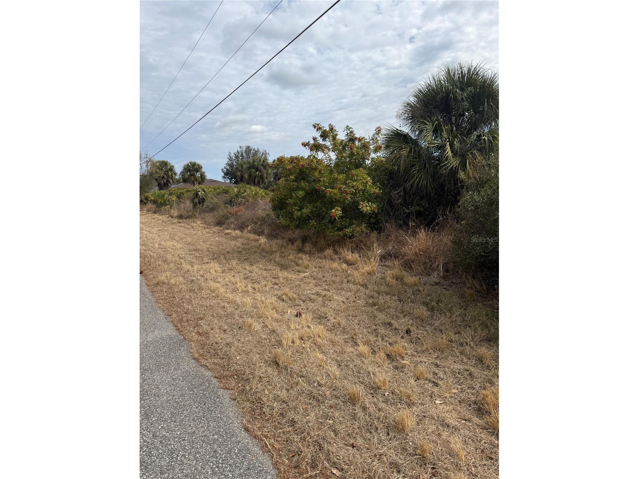 LOT 12 Embassy Road North Port FL 34291 N6142914 image1