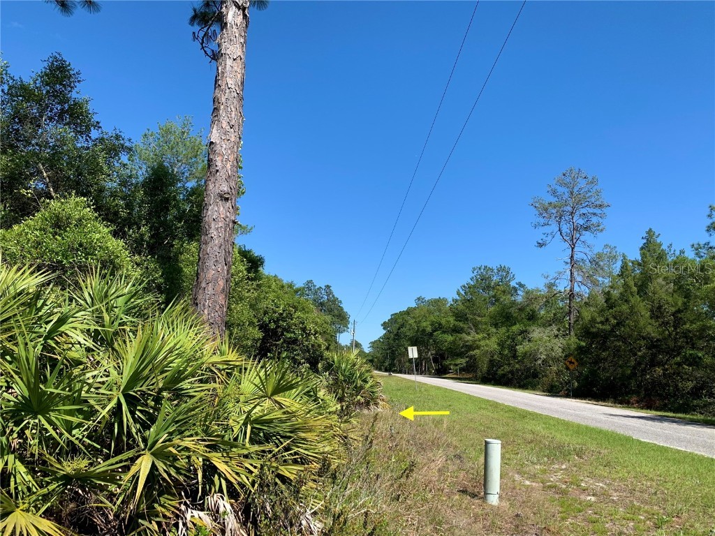 LOT 12 Fir Street Eustis FL 32736 - LAKE NORRIS G5080880 image1