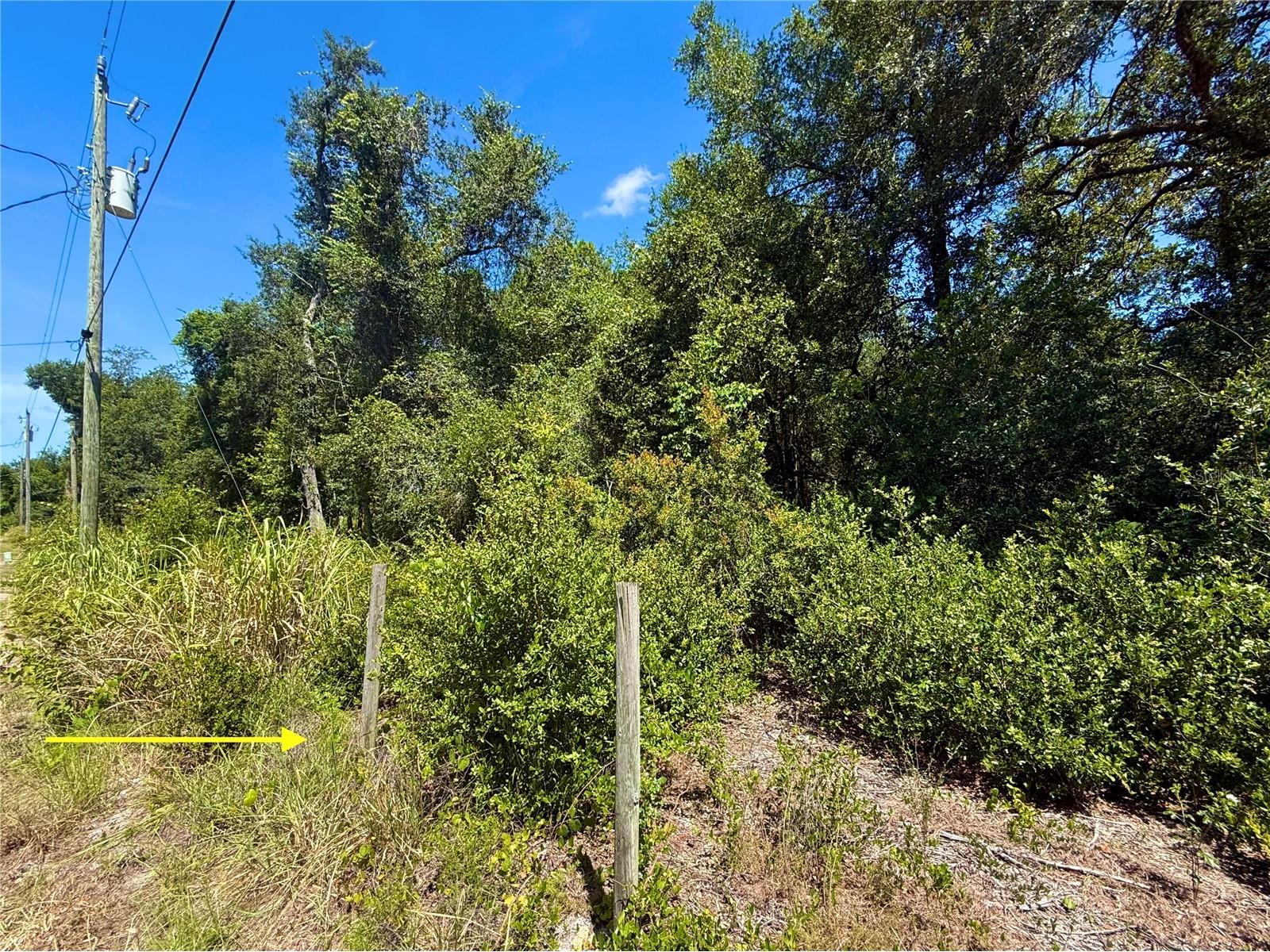 LOT 12 Lake Drive Eustis FL 32736 - Pine Lake G5100450 image10