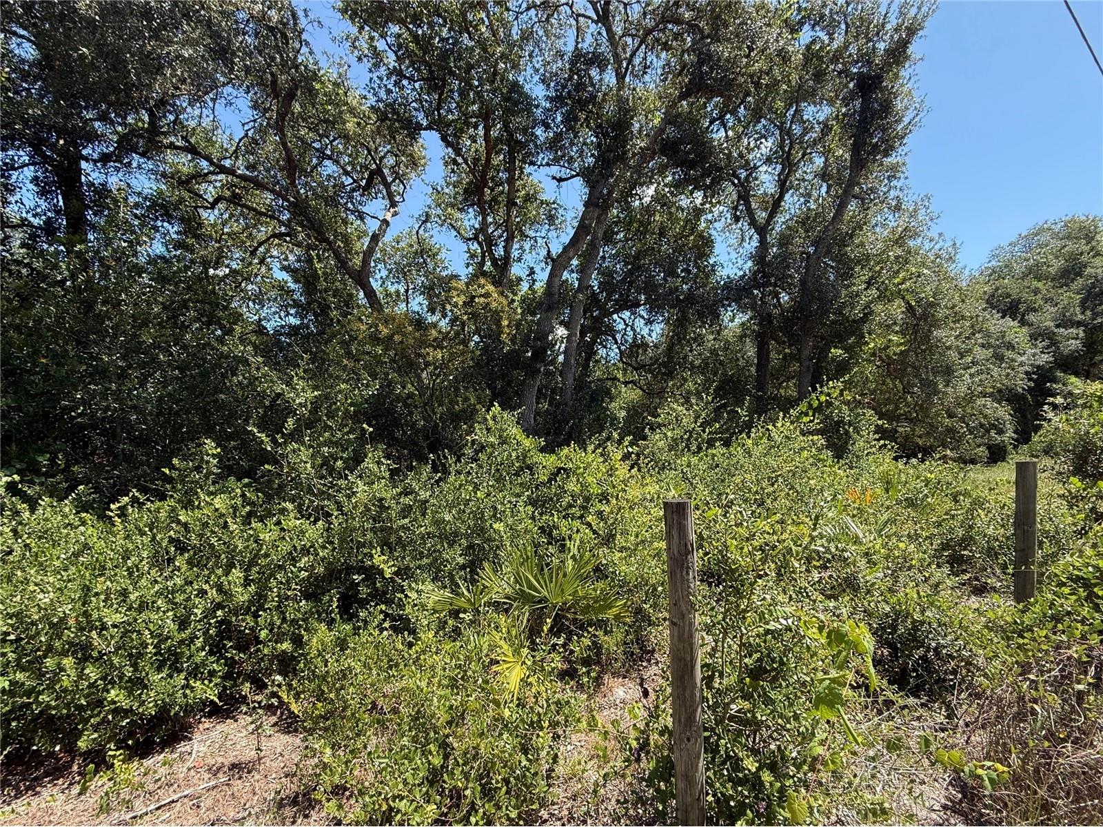 LOT 12 Lake Drive Eustis FL 32736 - Pine Lake G5100450 image11