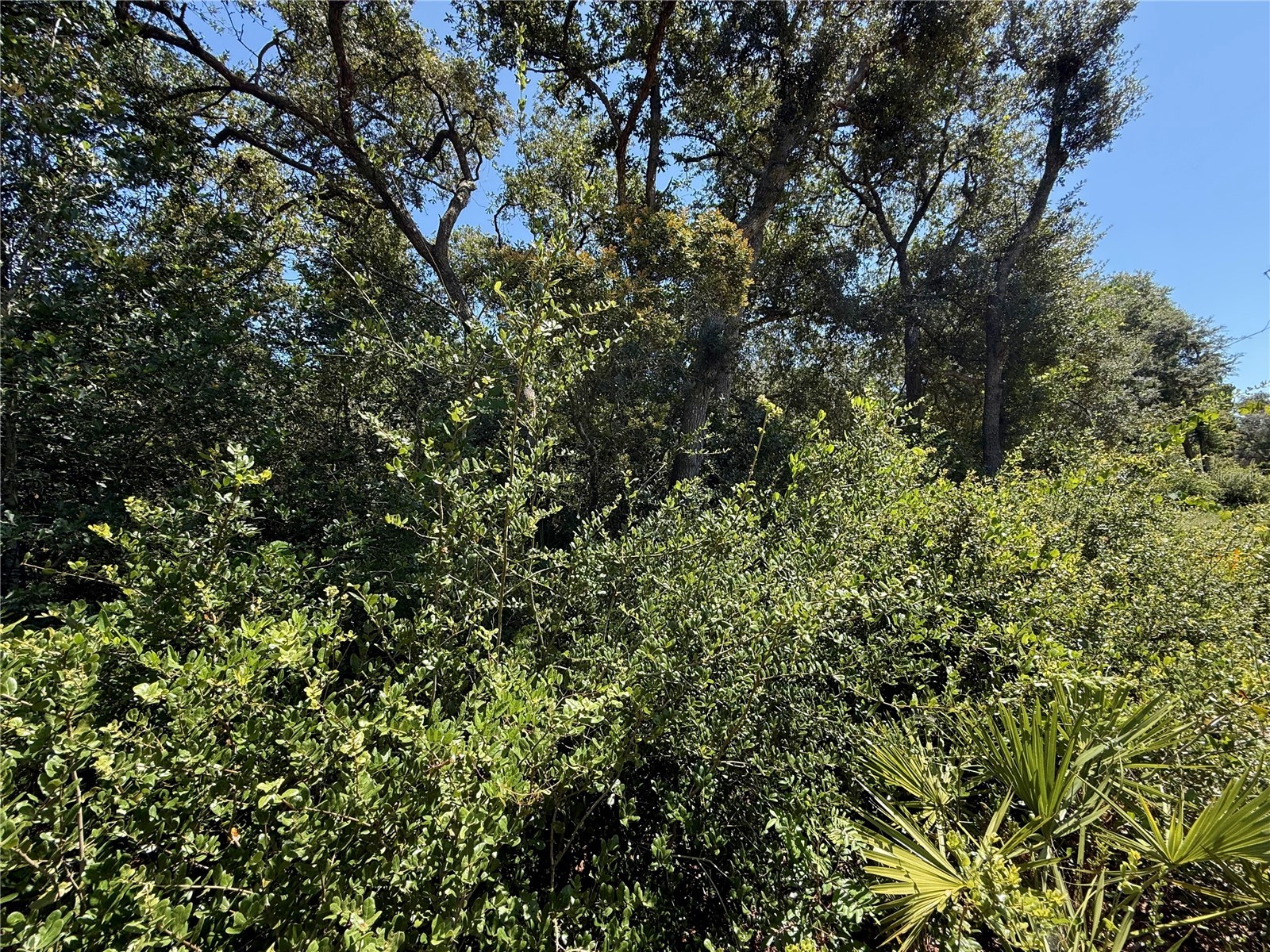 LOT 12 Lake Drive Eustis FL 32736 - Pine Lake G5100450 image13