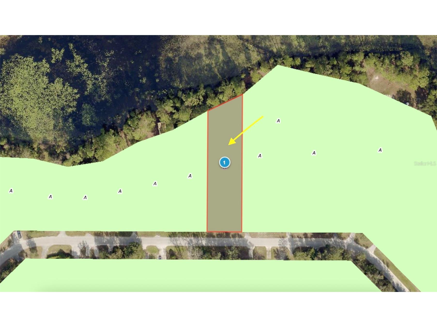 LOT 12 Lake Drive Eustis FL 32736 - Pine Lake G5100450 image14