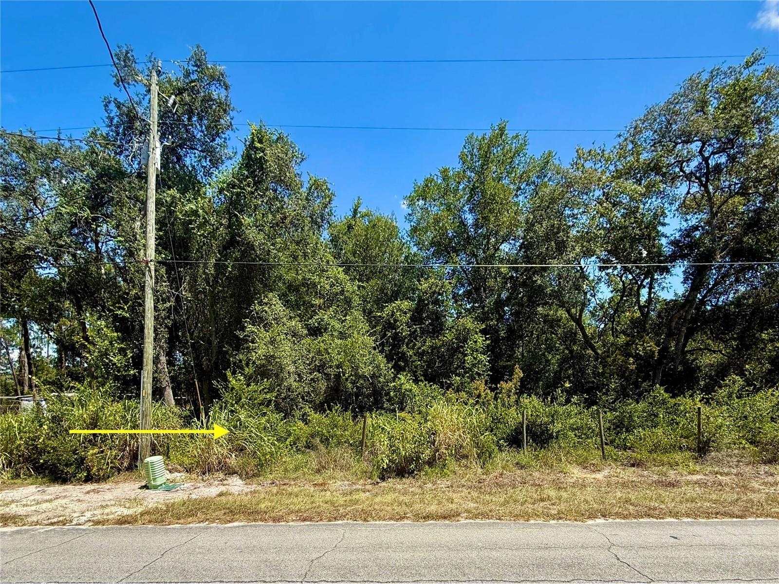 LOT 12 Lake Drive Eustis FL 32736 - Pine Lake G5100450 image2