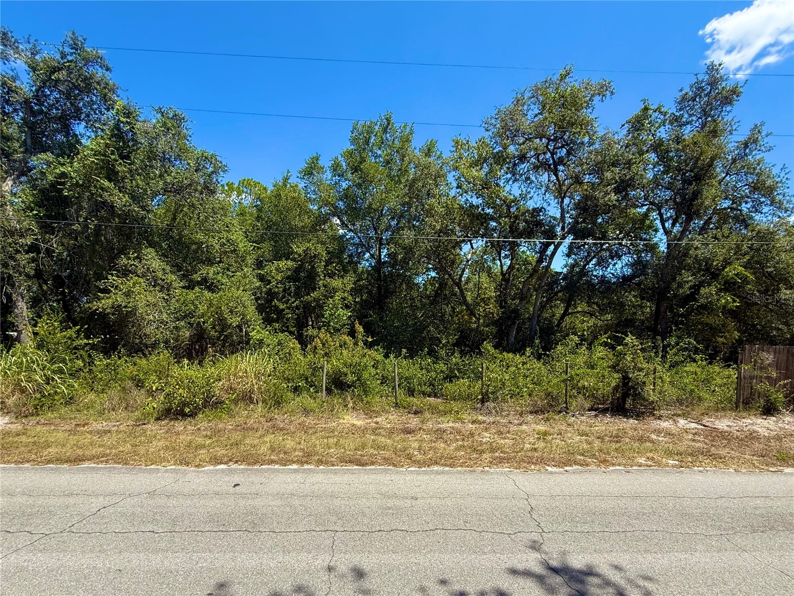 LOT 12 Lake Drive Eustis FL 32736 - Pine Lake G5100450 image5