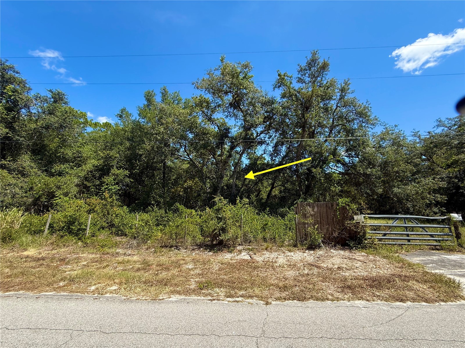 LOT 12 Lake Drive Eustis FL 32736 - Pine Lake G5100450 image6