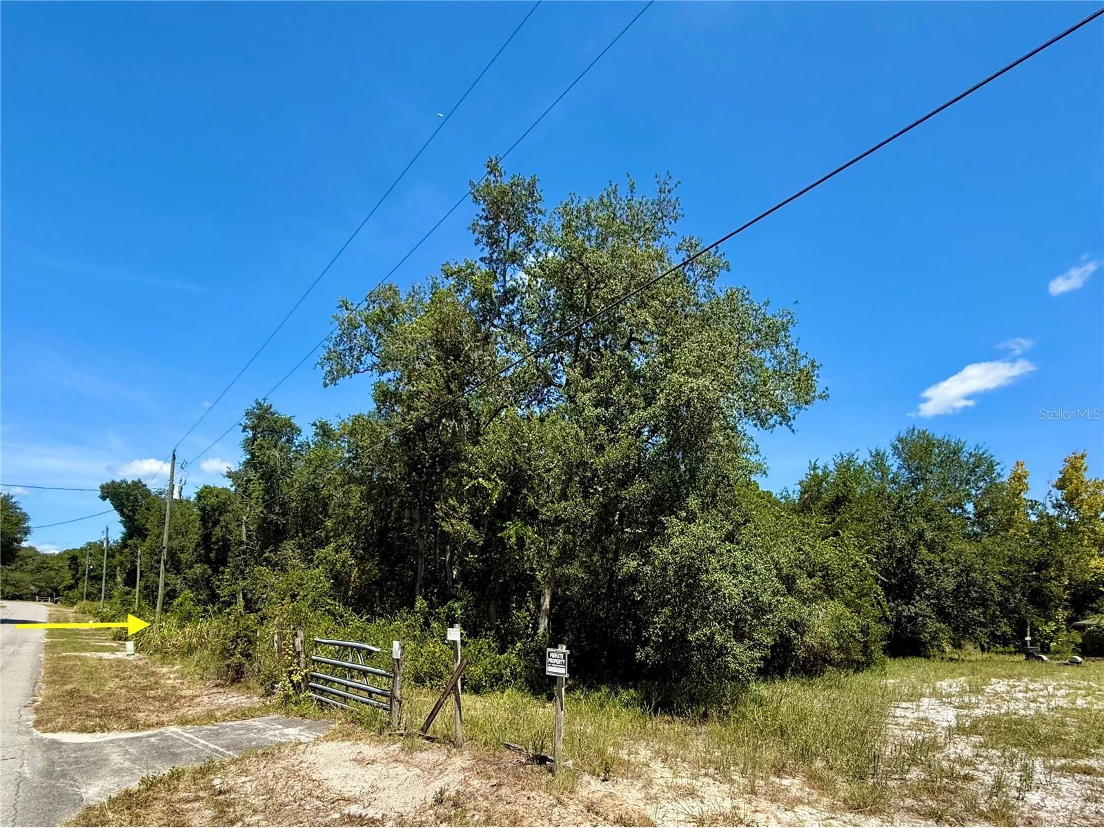 LOT 12 Lake Drive Eustis FL 32736 - Pine Lake G5100450 image8
