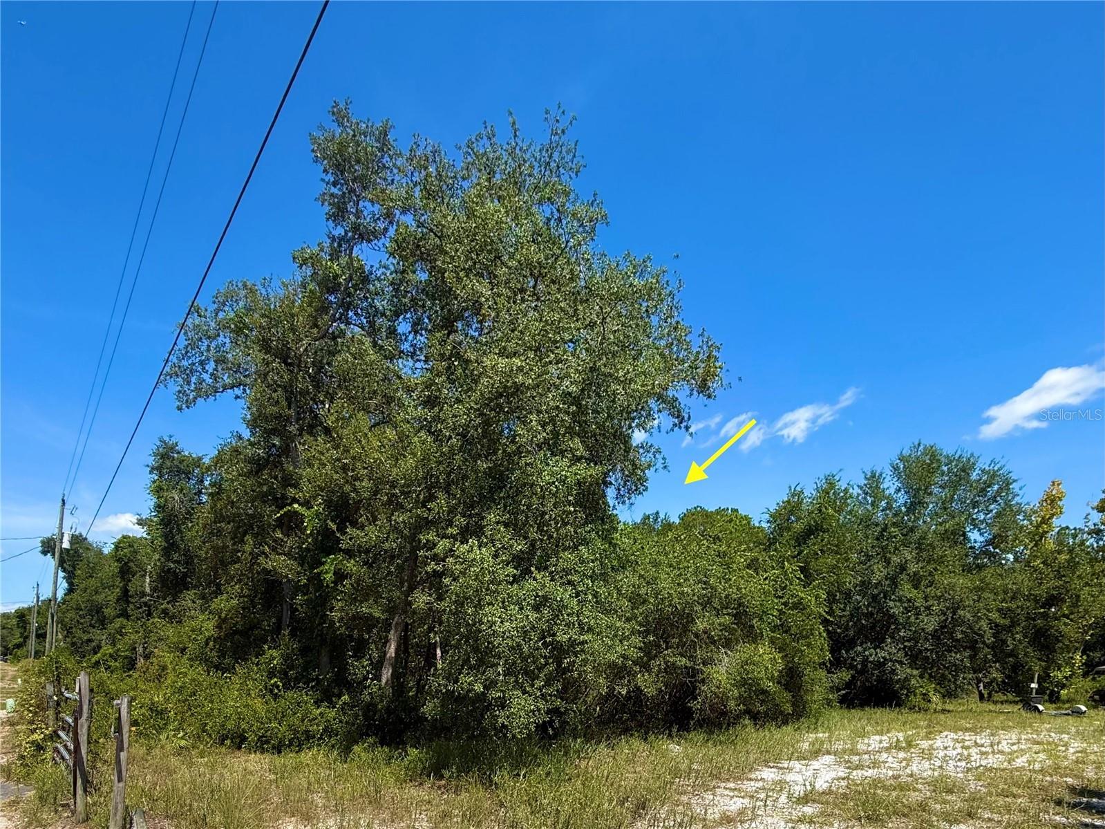 LOT 12 Lake Drive Eustis FL 32736 - Pine Lake G5100450 image9
