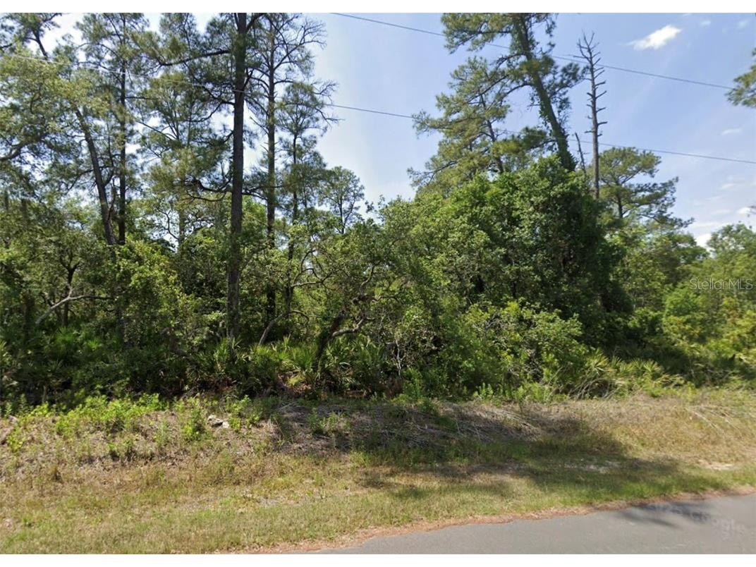 LOT 12 Locust Terrace Ps Ocala FL 34472 O6363062 image2