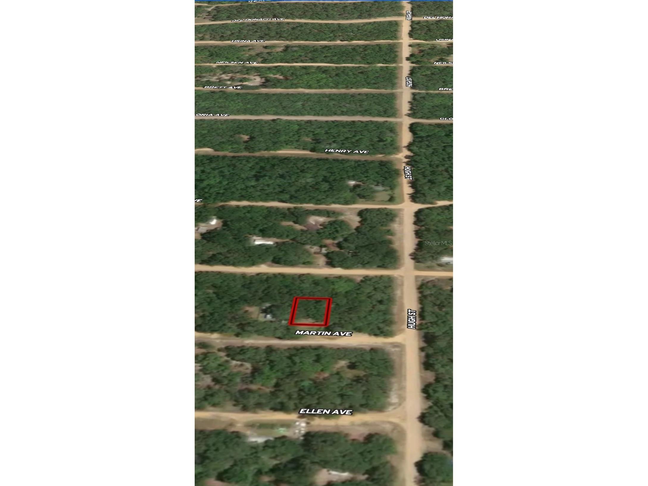 LOT 12 Martin Avenue Interlachen FL 32148 OM710434 image3
