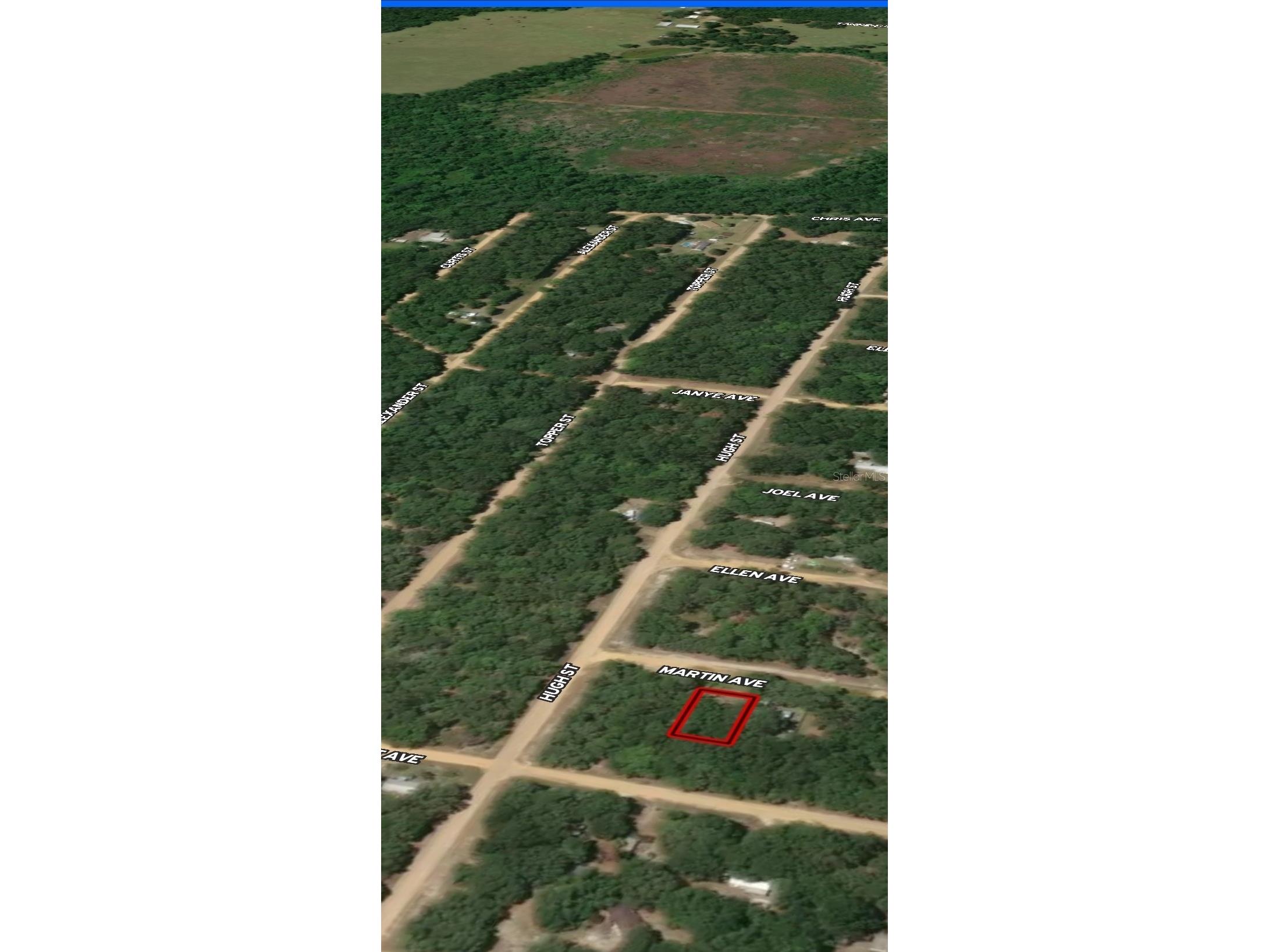 LOT 12 Martin Avenue Interlachen FL 32148 OM710434 image4