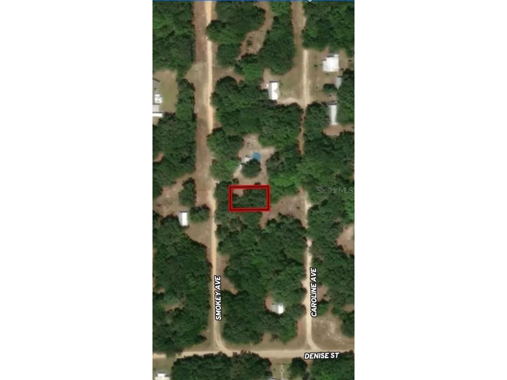 LOT 12 Smokey Avenue Interlachen FL 32148 OM710497 image1