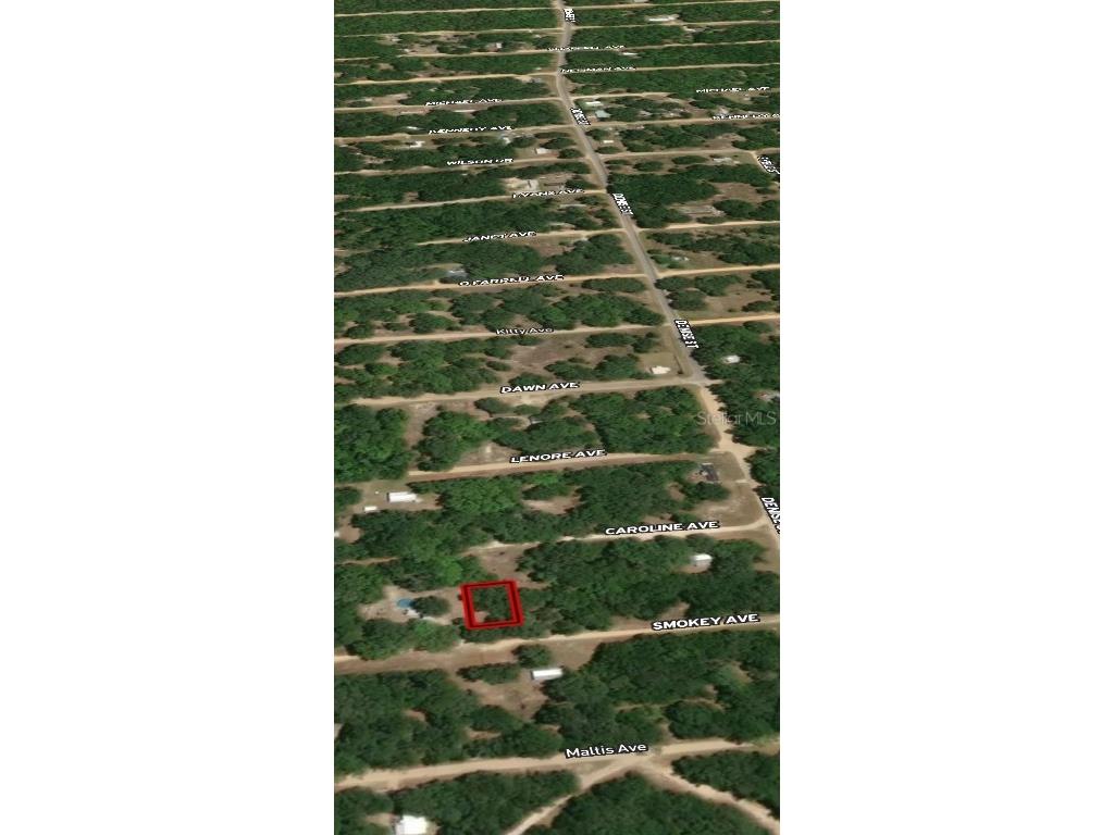 LOT 12 Smokey Avenue Interlachen FL 32148 OM710497 image3