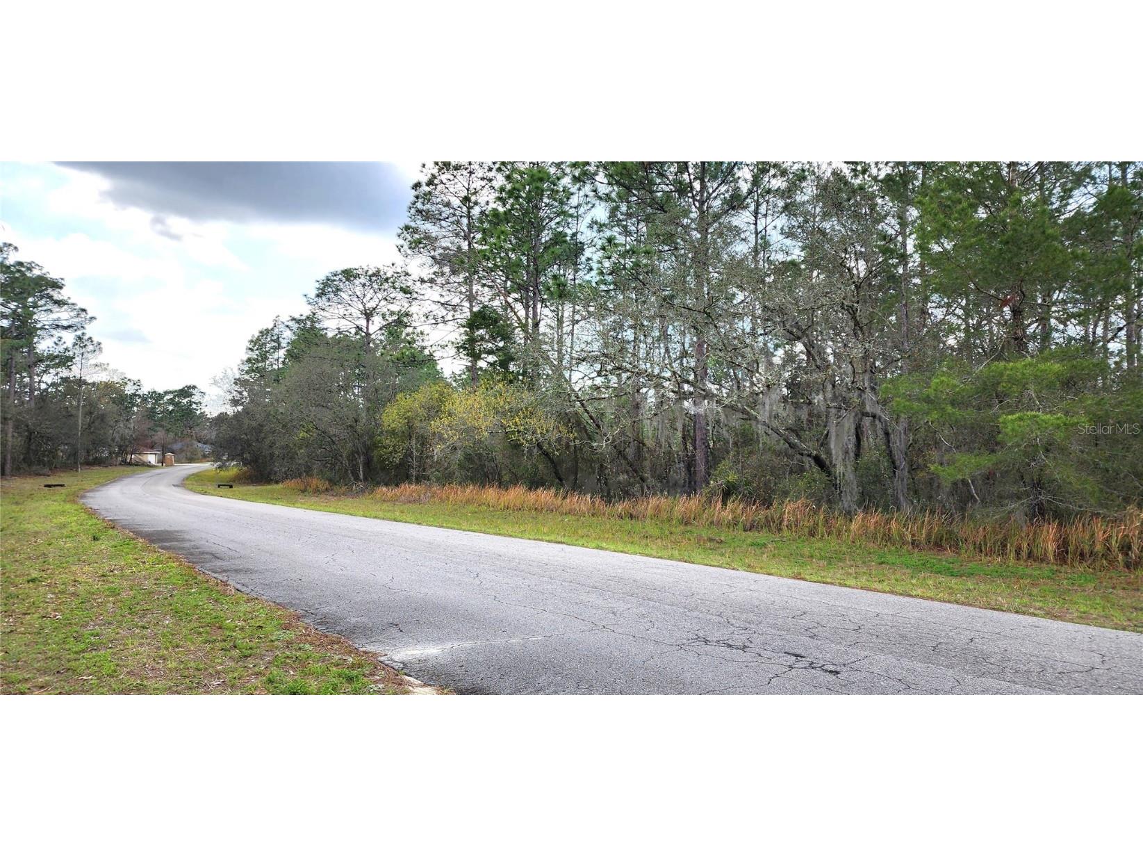 LOT 12 SW 152nd St Ocala FL 34473 OM674002 image1
