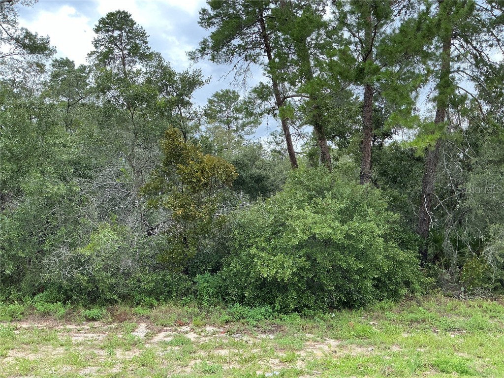 LOT 12 SW 168th Loop Ocala FL 34473 OM683559 image1