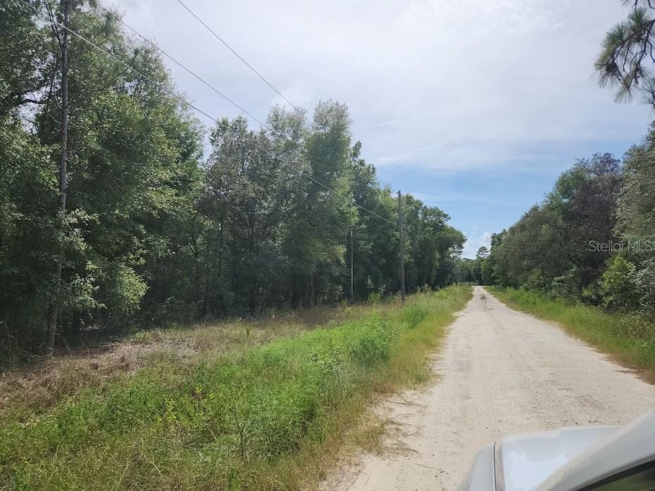 LOT 12 SW 96th Lane Dunnellon FL 34432 OM708221 image1