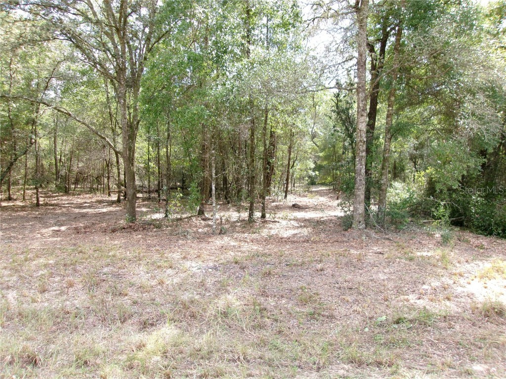 LOT 12 SW 96th Lane Dunnellon FL 34432 OM708221 image10