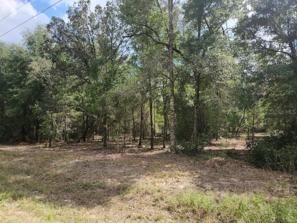 LOT 12 SW 96th Lane Dunnellon FL 34432 OM708221 image11